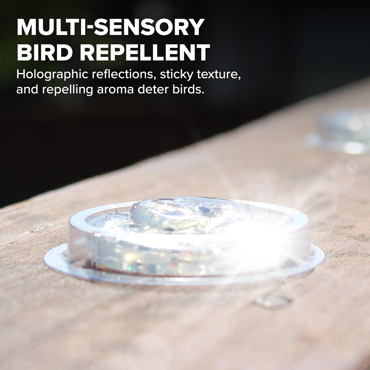 Bird B Gone Spectrum V holographic glue-trough dish provides strong adhesion for stable coverage.