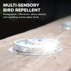 Bird B Gone Spectrum V holographic glue-trough dish provides strong adhesion for stable coverage.