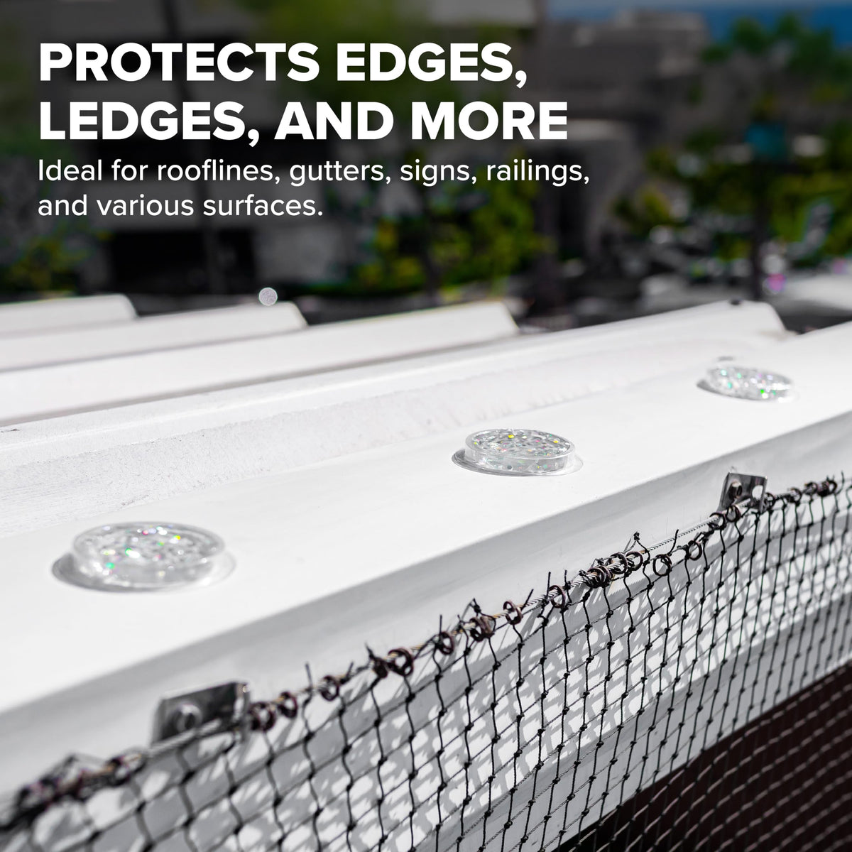 Bird B Gone Spectrum V holographic UV-protected gel stays effective under sun exposure.