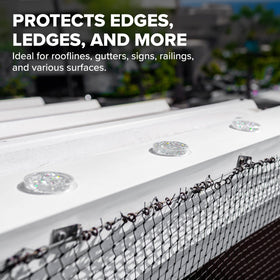 Bird B Gone Spectrum V holographic UV-protected gel stays effective under sun exposure.
