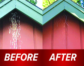 Bird B Gone Swallow Shield clear strips under gables enable discreet nesting prevention.