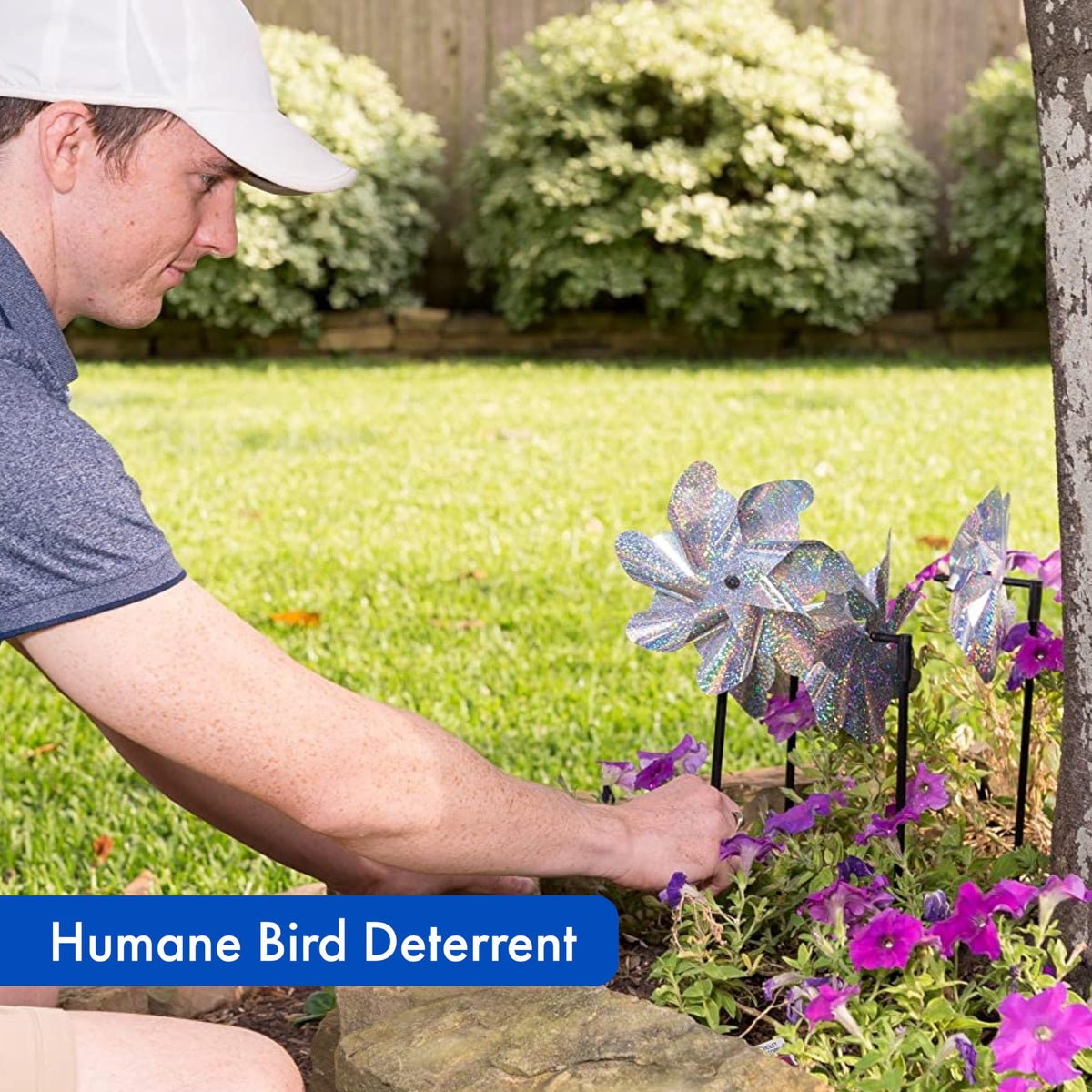BIRD BLINDER holographic windmills outdoors deter birds around gardens.