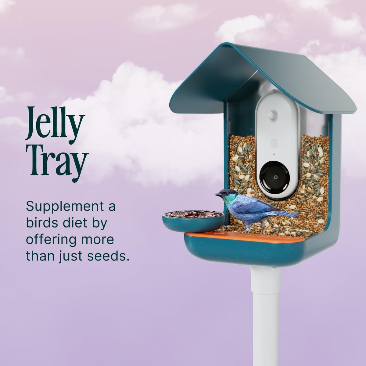 Bird Buddy attachment on the feeder enables quick, hassle-free setup.