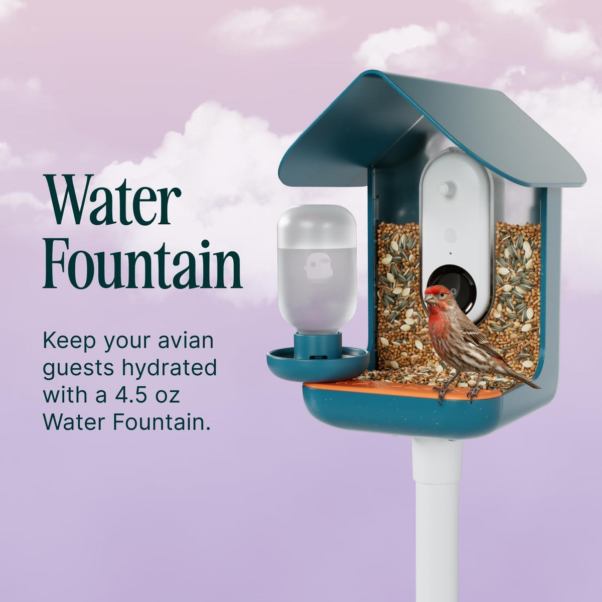 Bird Buddy blue design complements the feeder and garden style.