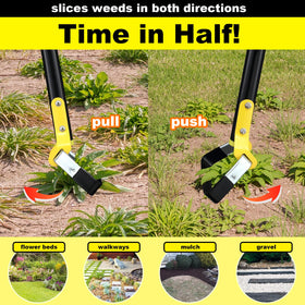 Bird Twig lightweight 1-3lb design for easy maneuverability.
