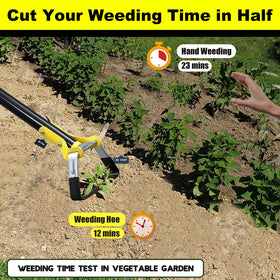 Bird Twig raised-bed use supports efficient backyard weed control.