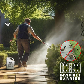Bird Stop Liquid spray application demonstrating surface treatment.