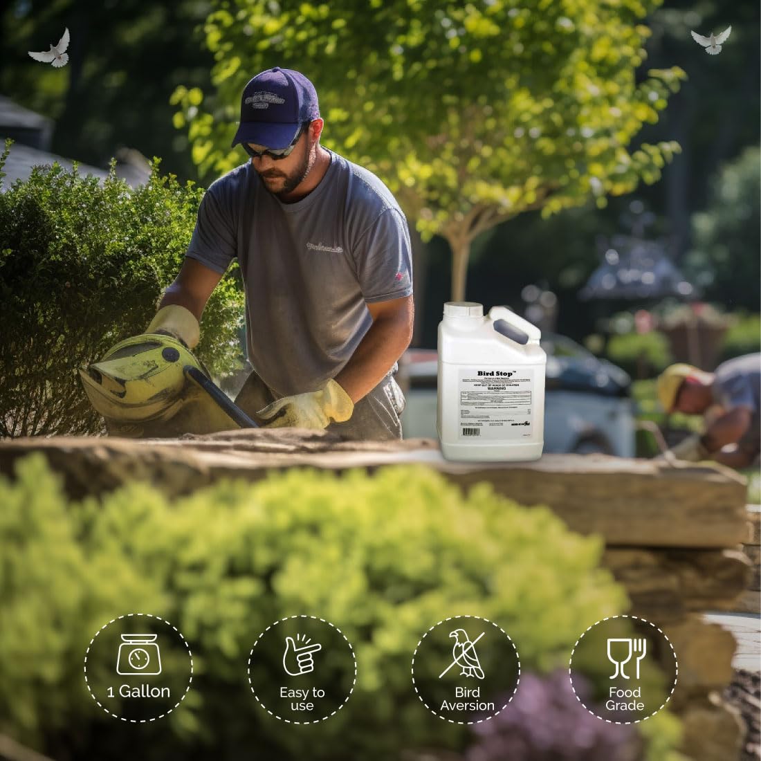 Bird Stop Liquid applied to a surface reduces droppings and mess.