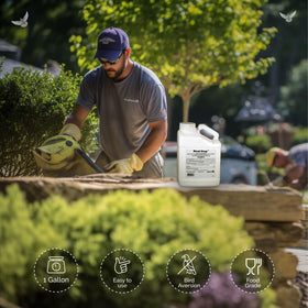 Bird Stop Liquid applied to a surface reduces droppings and mess.