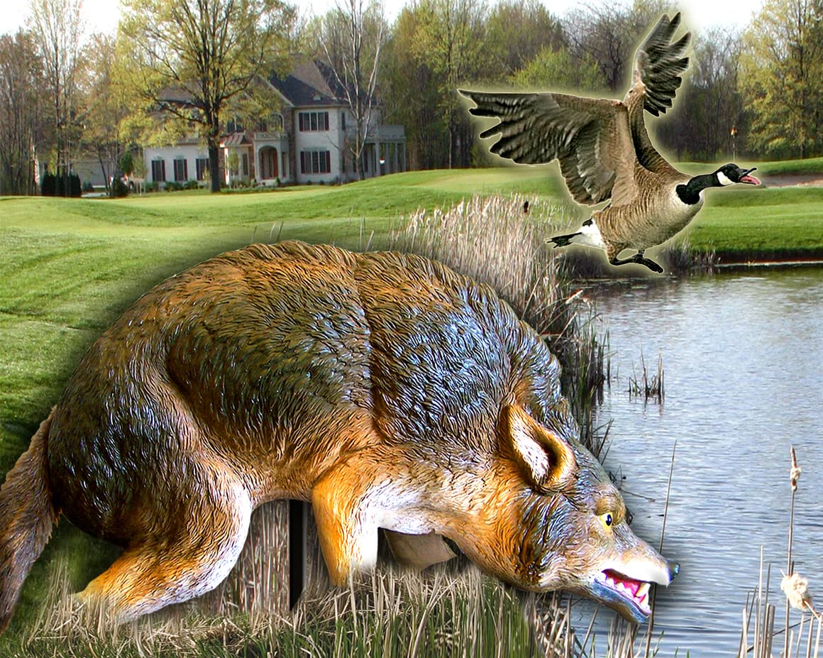 Bird-X coyote decoy on stake is quick to install and relocate.