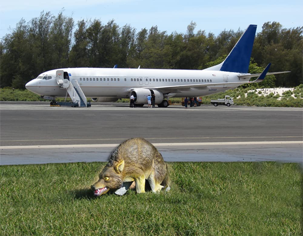 Bird-X realistic markings create a convincing predator look for outdoor protection.