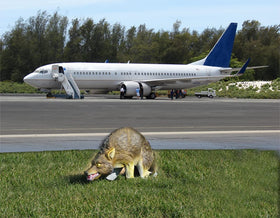 Bird-X realistic markings create a convincing predator look for outdoor protection.
