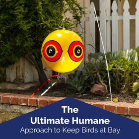Bird-X Scare Eye Balloon with reflective eyes boosts outdoor visibility for bird control