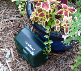 Bird-X Yard Gard weather‑resistant housing suited for patios and barns.