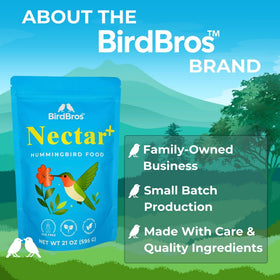 BirdBros nectar brings steady backyard visits and reliable feeding.