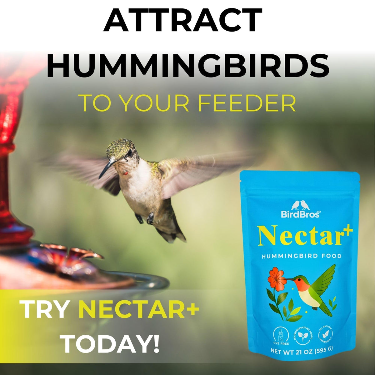 BirdBros satisfaction guarantee promises worry-free hummingbird feeding.