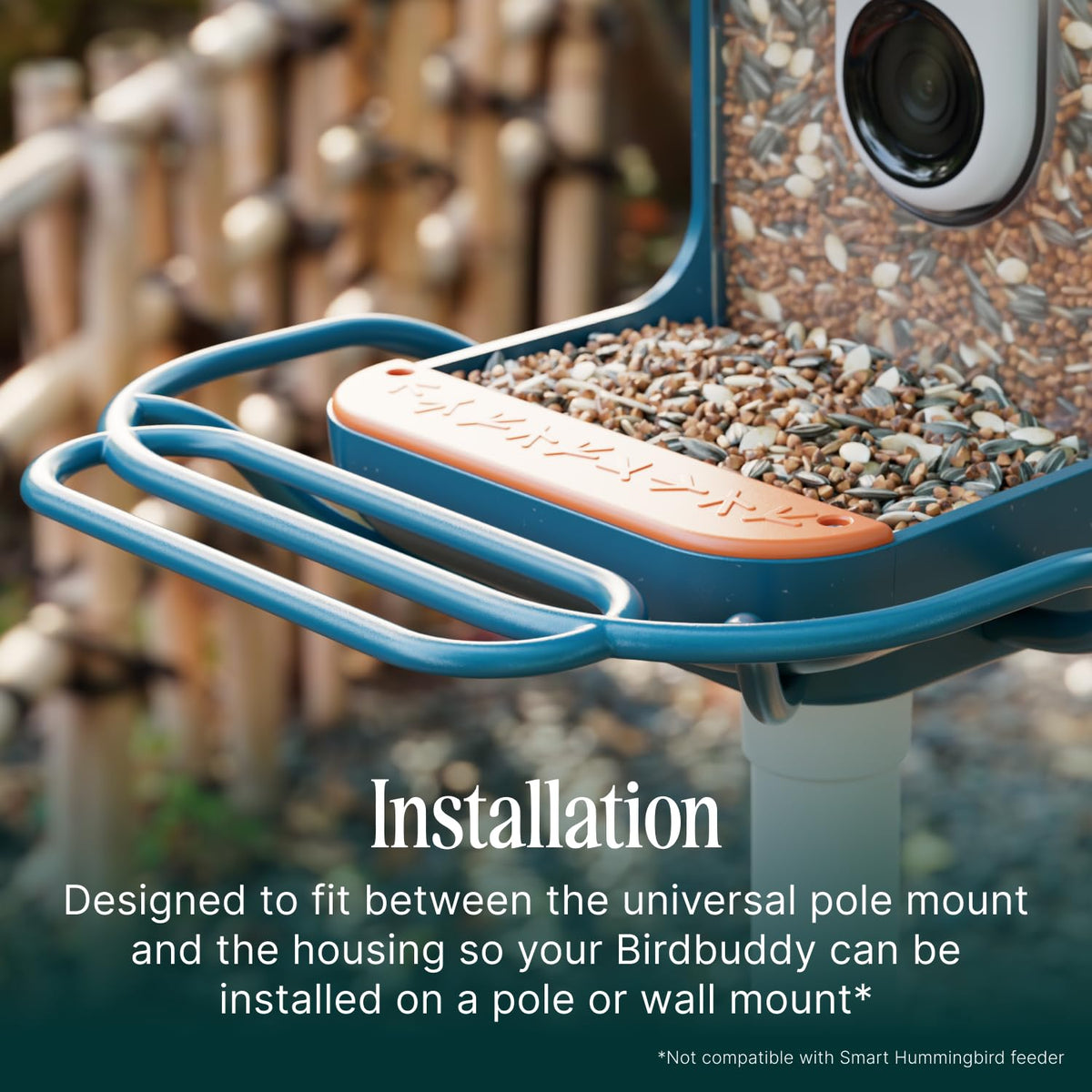 BirdBuddy blue perch extender shows spacious perch area for multiple birds.