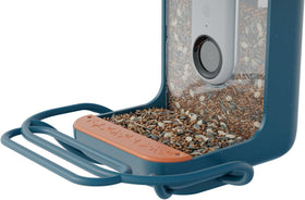 BirdBuddy blue perch extender with universal fit adds space for larger birds.