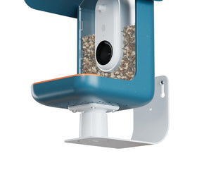 BirdBuddy Wall Mount secures the feeder with a stable base for outdoor setups.