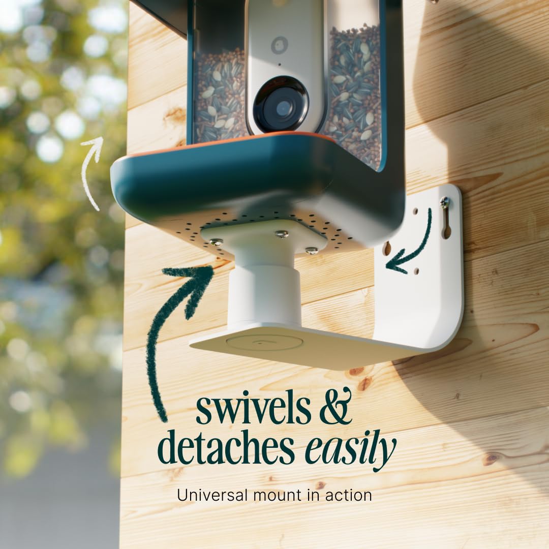 BirdBuddy Wall Mount adds a stylish, secure focal point to your garden.