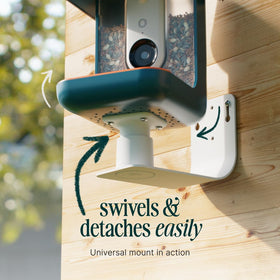 BirdBuddy Wall Mount adds a stylish, secure focal point to your garden.