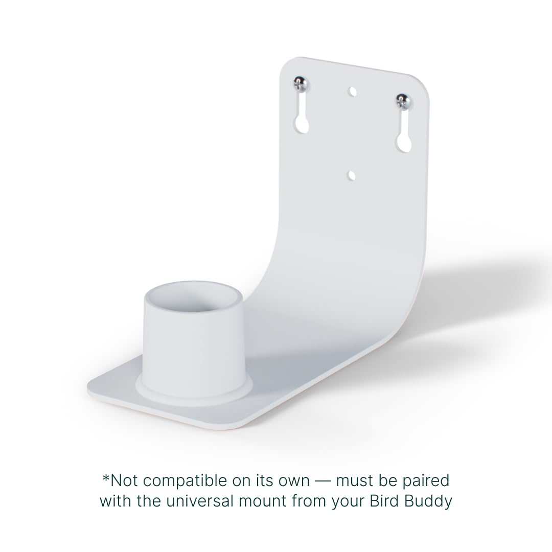 BirdBuddy Wall Mount attached to a wall enables quick, secure placement.