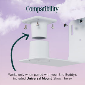 BirdBuddy Wall Mount's weatherproof finish withstands rain and sun for long-lasting use.