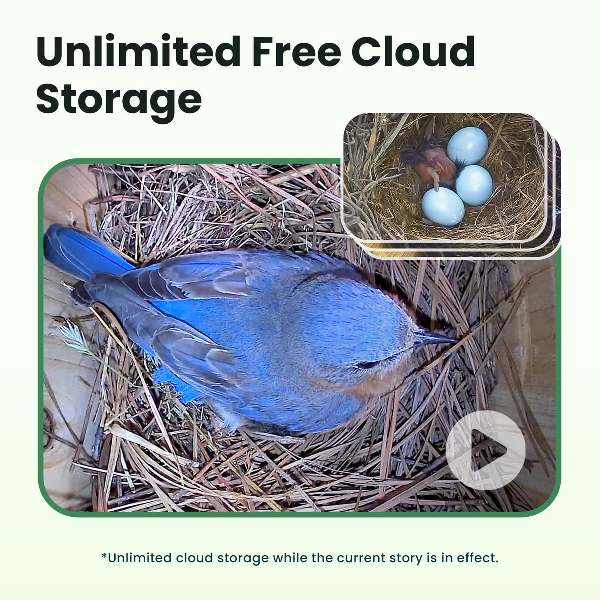 Birdfy 5200mAh battery powers long-term camera use.