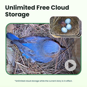 Birdfy 5200mAh battery powers long-term camera use.
