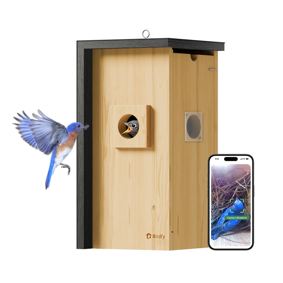 Birdfy bird house camera with iron guard protects nesting site and deters predators.