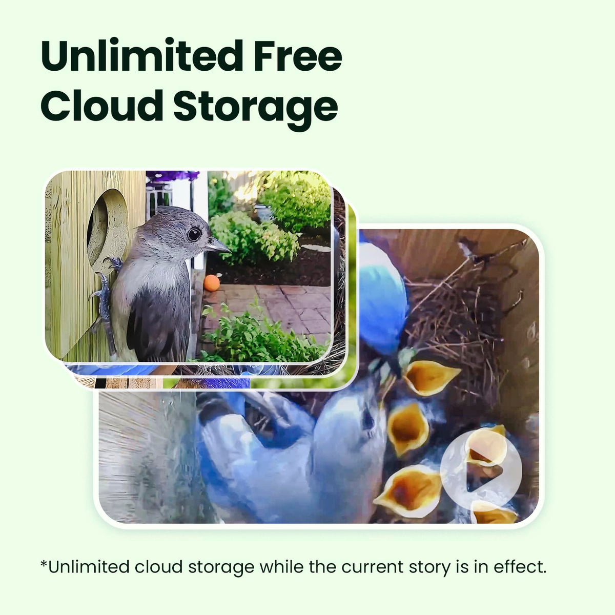 Birdfy Nest Duo app quick-start for easy setup