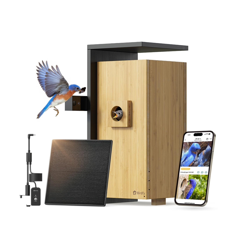 Birdfy Nest Duo front view bamboo house showing nesting habitat