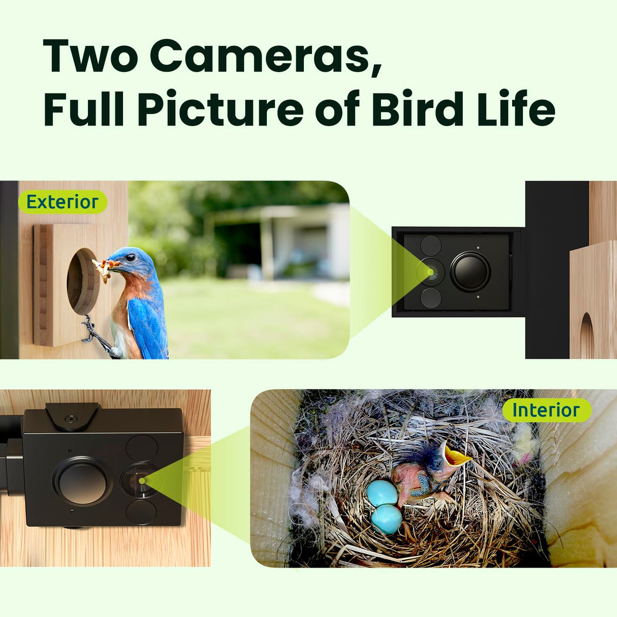 Birdfy Nest Duo interior view highlighting well-ventilated nursery