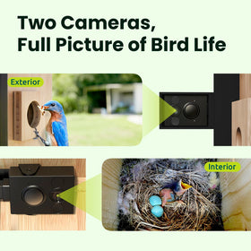 Birdfy Nest Duo interior view highlighting well-ventilated nursery