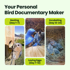 Birdfy Nest Duo remote control enabling adjustments from 10 feet