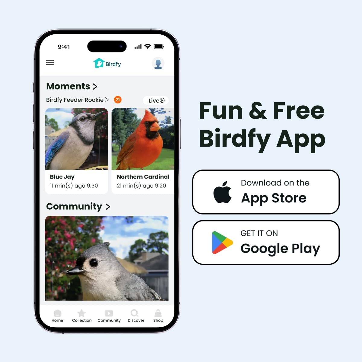 Birdfy Rookie feeder app notifications keep you updated