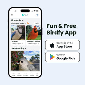 Birdfy Rookie feeder app notifications keep you updated