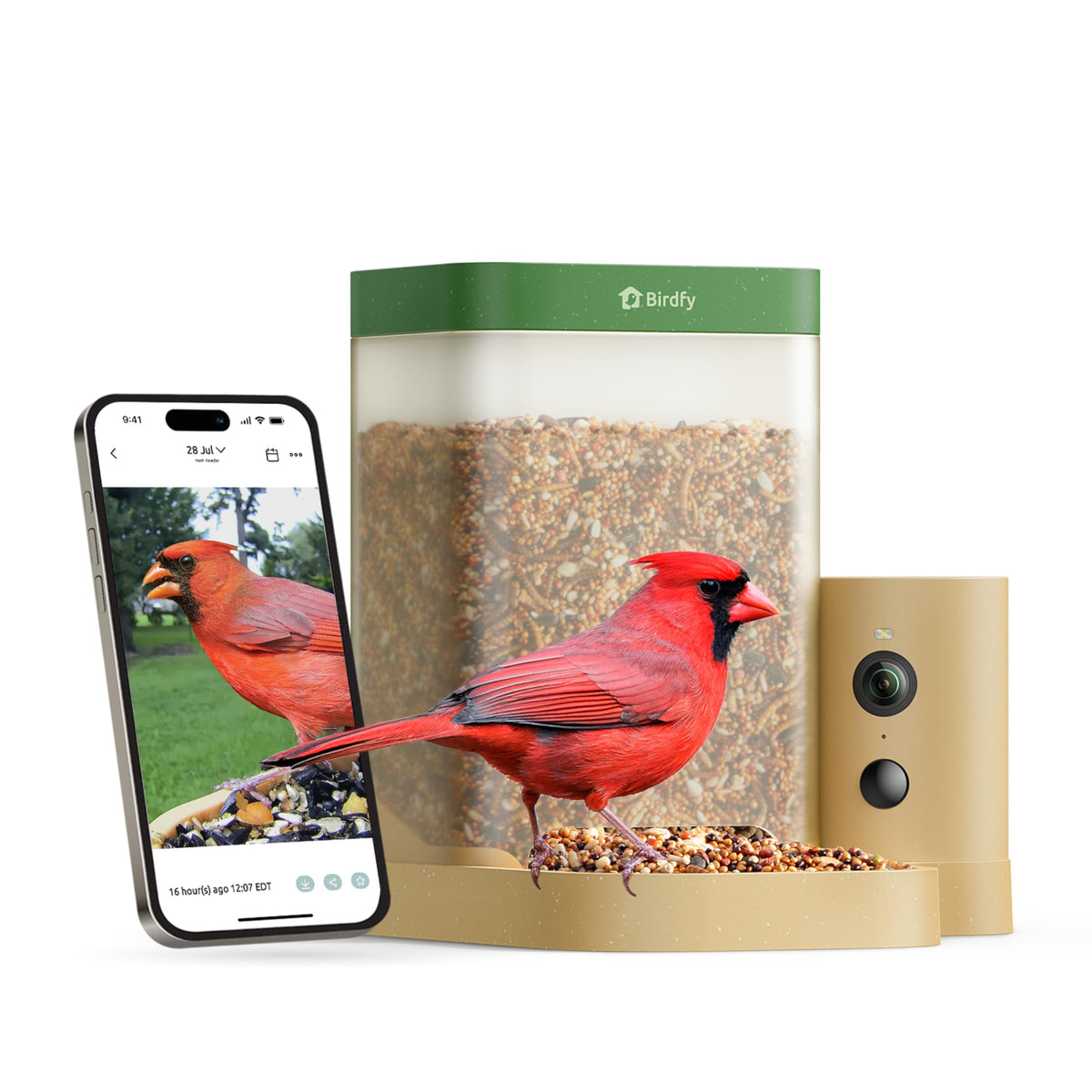 Birdfy Rookie feeder front view for easy setup and beginners