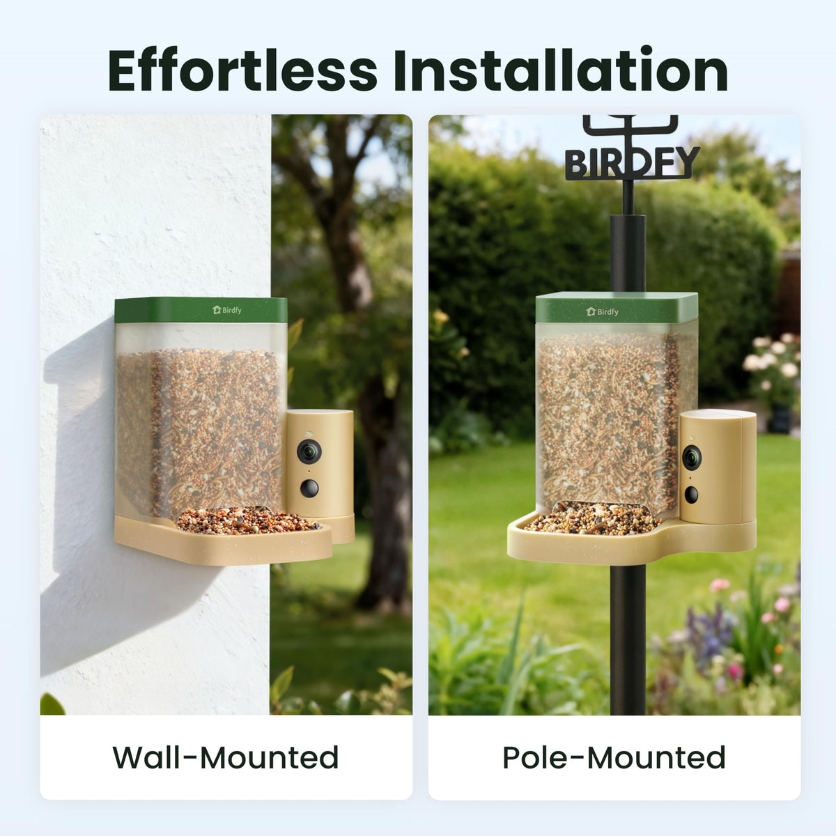 Birdfy Rookie feeder installation made simple for new users