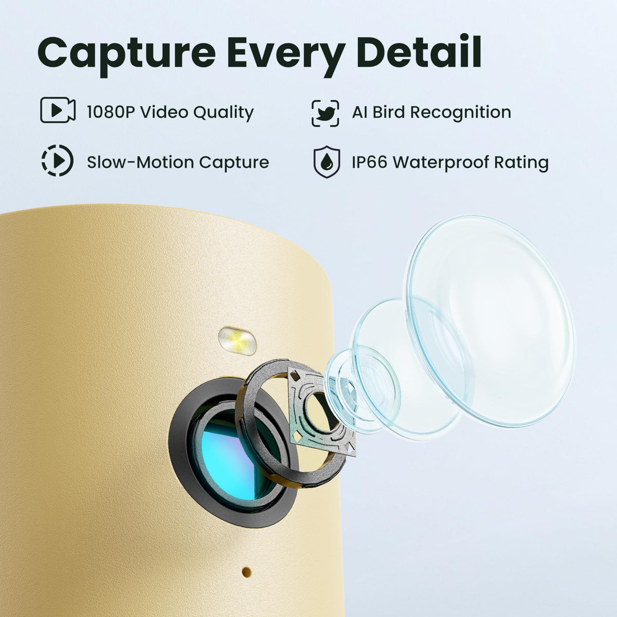 Birdfy Rookie feeder IP66 waterproof design withstands rain
