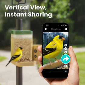 Birdfy Rookie feeder slow-motion view reveals quick movements
