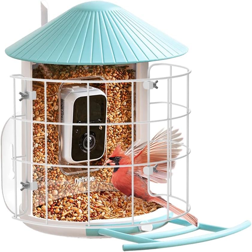 Birdfy Shield on the Birdfy feeder showing protection and added stability