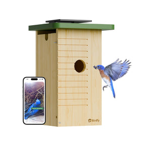 Birdfy Smart Bird House front view with camera for easy backyard monitoring.