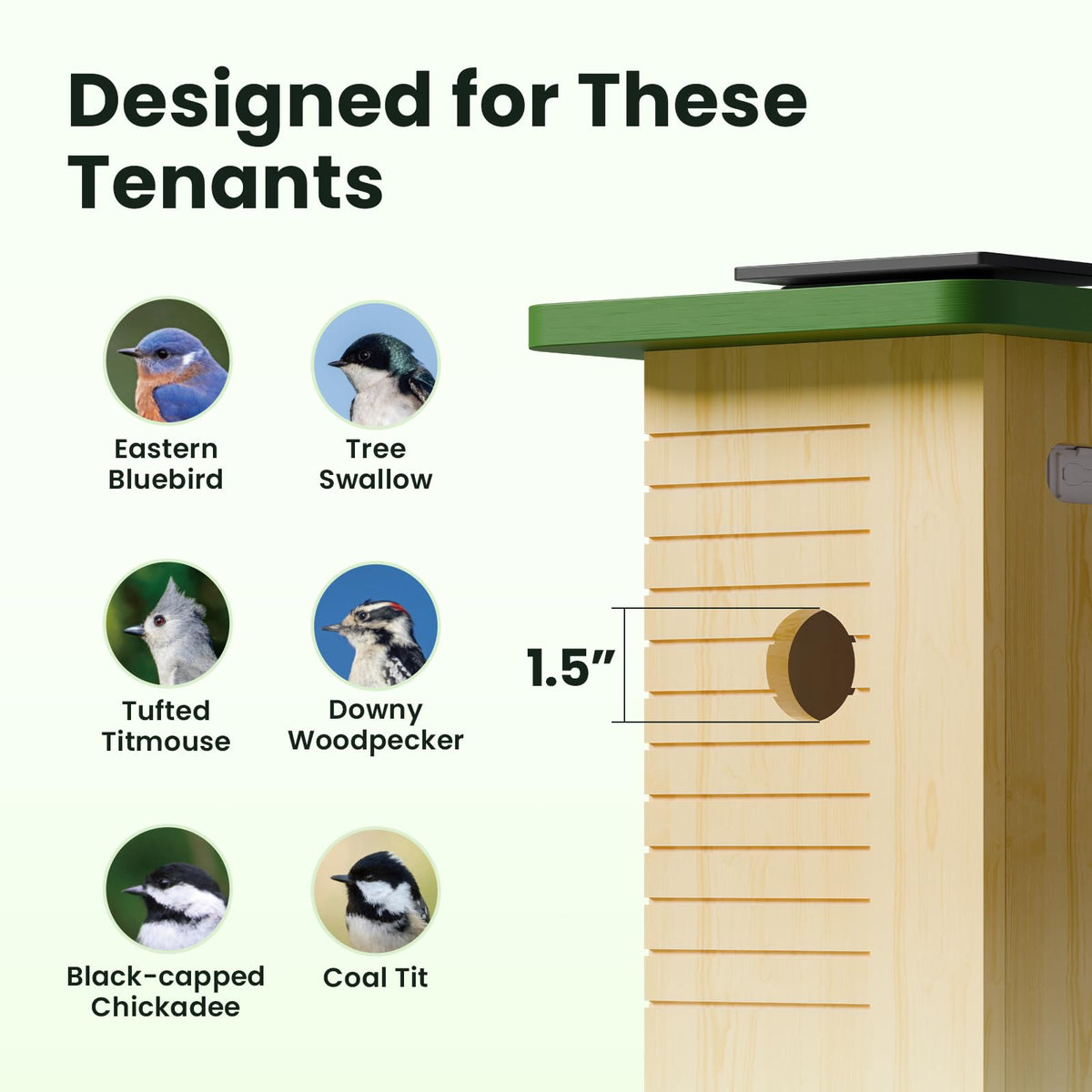 Birdfy Smart Bird House camera inside nest captures intimate nesting moments.