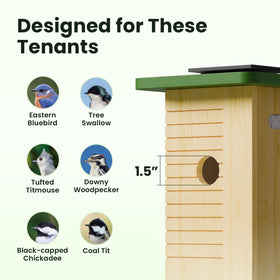 Birdfy Smart Bird House camera inside nest captures intimate nesting moments.