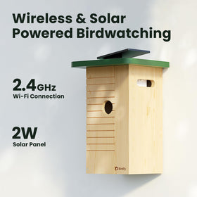 Birdfy lifetime free cloud storage stores nesting footage securely.