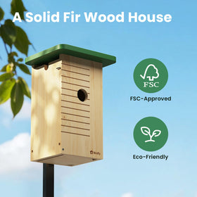 Birdfy installation is tool-free for wall or pole mounting.