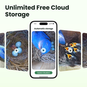 Birdfy wooden design blends with nature and provides sturdy housing.
