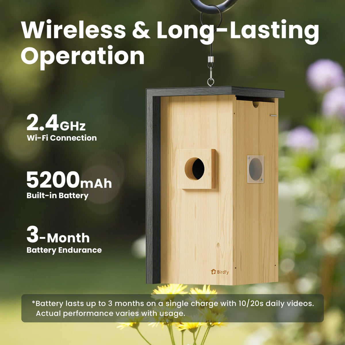 Birdfy smart watching creates shareable nesting clips.
