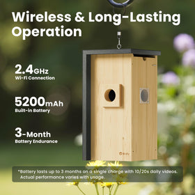 Birdfy smart watching creates shareable nesting clips.